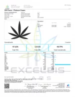 Platinum Grapes - Indica - Image 3