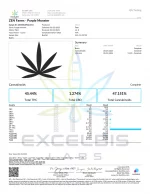 Purple Monster - Indica - Image 3